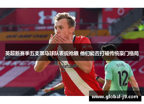 英超新赛季五支黑马球队表现抢眼 他们能否打破传统豪门格局