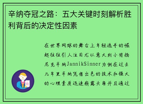 辛纳夺冠之路：五大关键时刻解析胜利背后的决定性因素