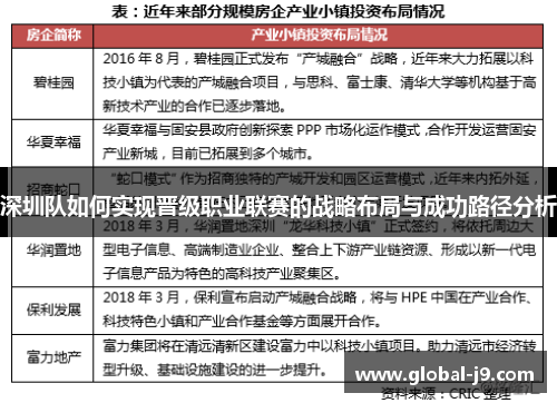 深圳队如何实现晋级职业联赛的战略布局与成功路径分析