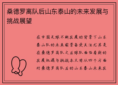 桑德罗离队后山东泰山的未来发展与挑战展望
