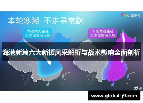 海港新篇六大新援风采解析与战术影响全面剖析