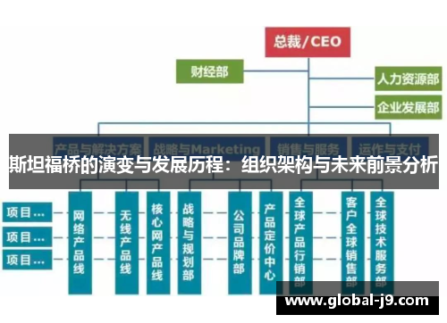 斯坦福桥的演变与发展历程：组织架构与未来前景分析